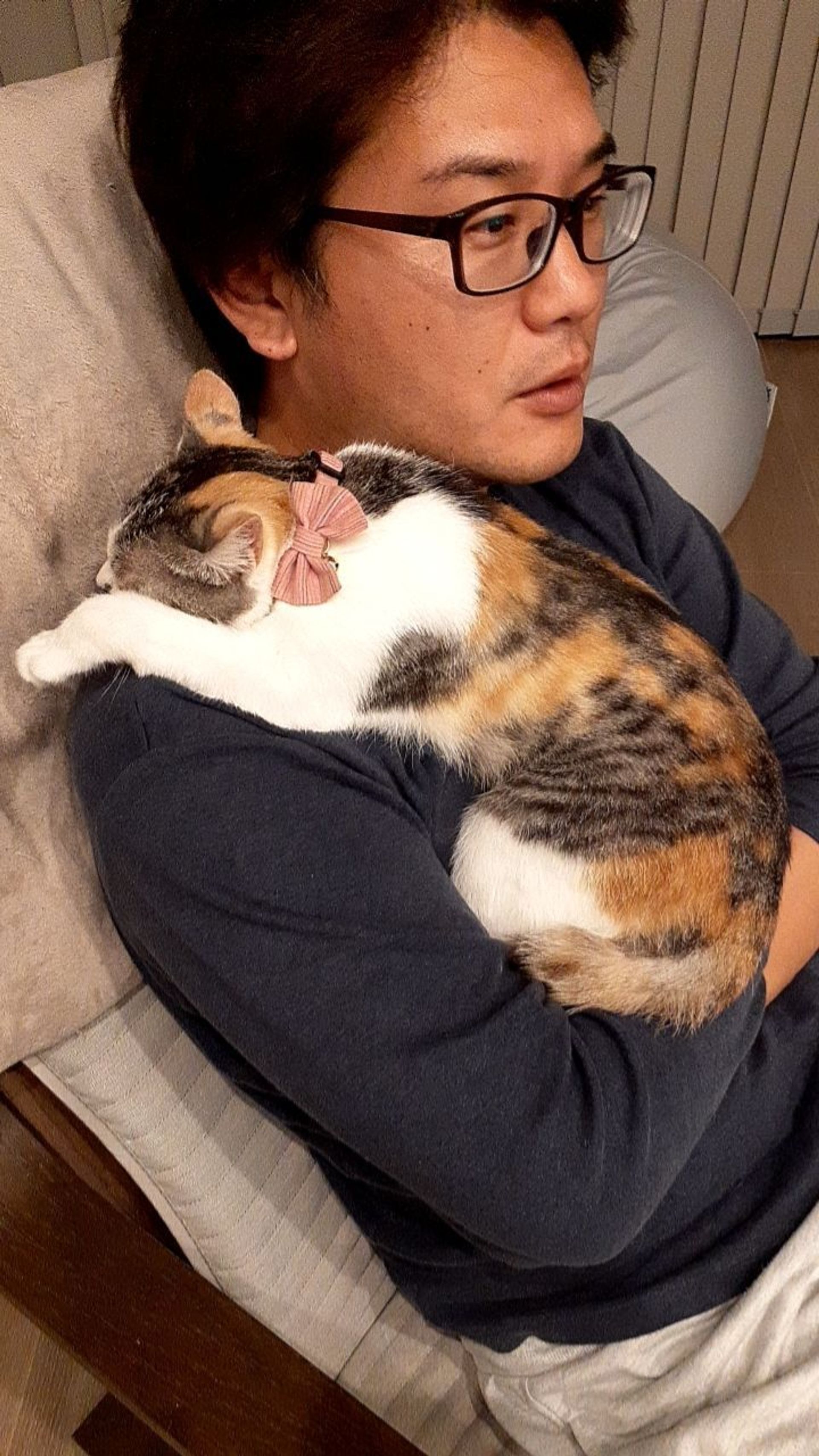 雑種（ミックス猫）・メスの里親募集の写真