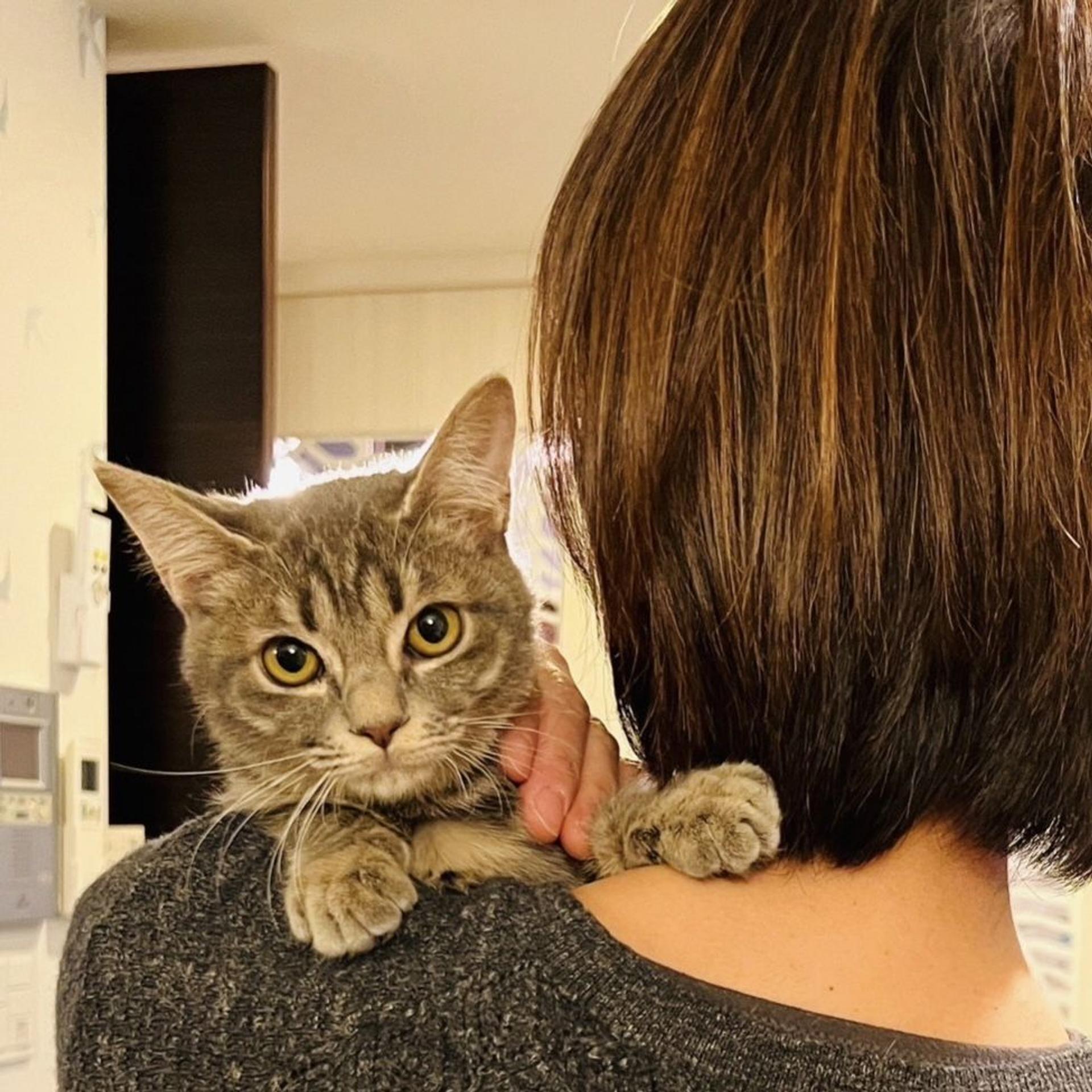 pet-image-3