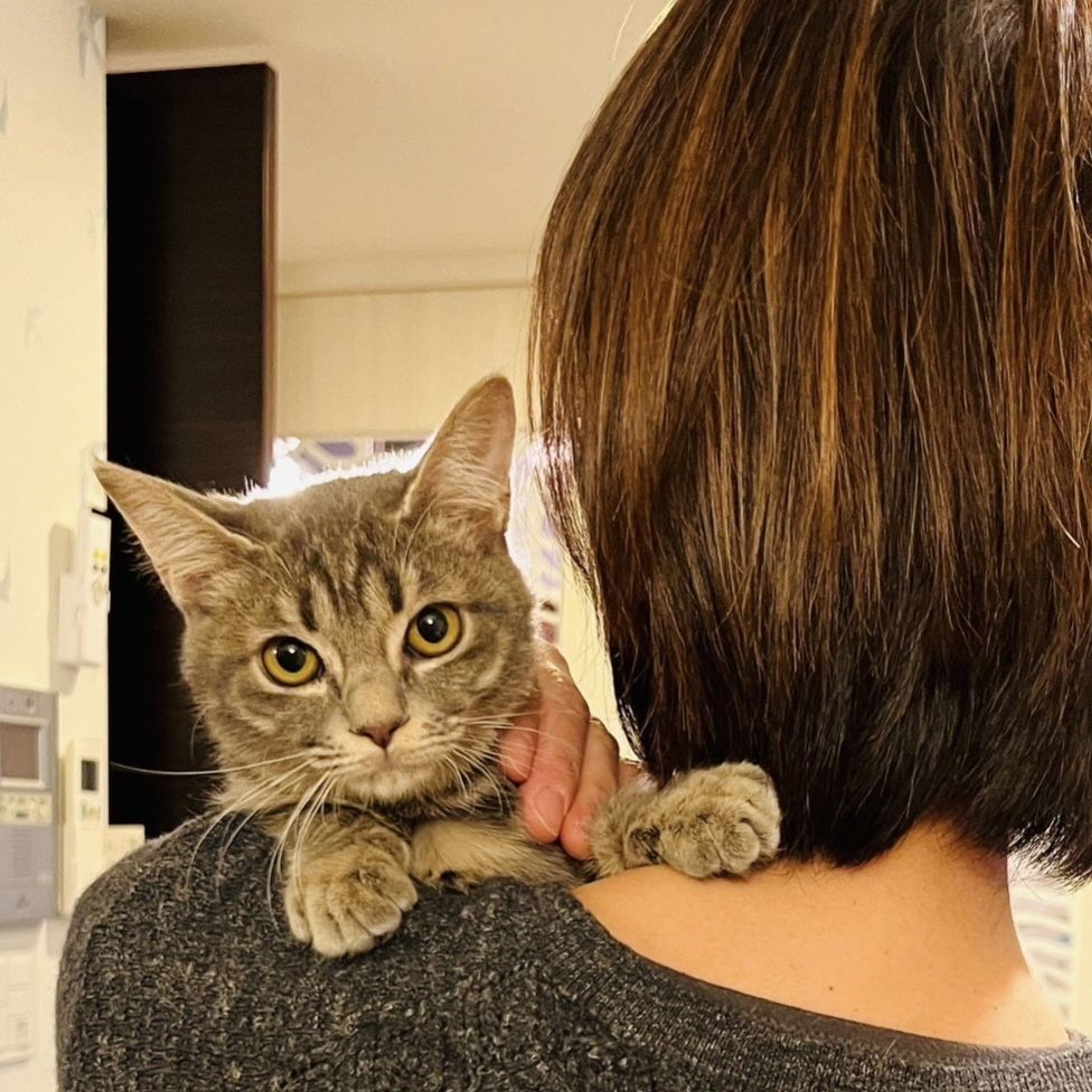 pet-image-3