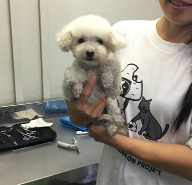 名無しちゃん