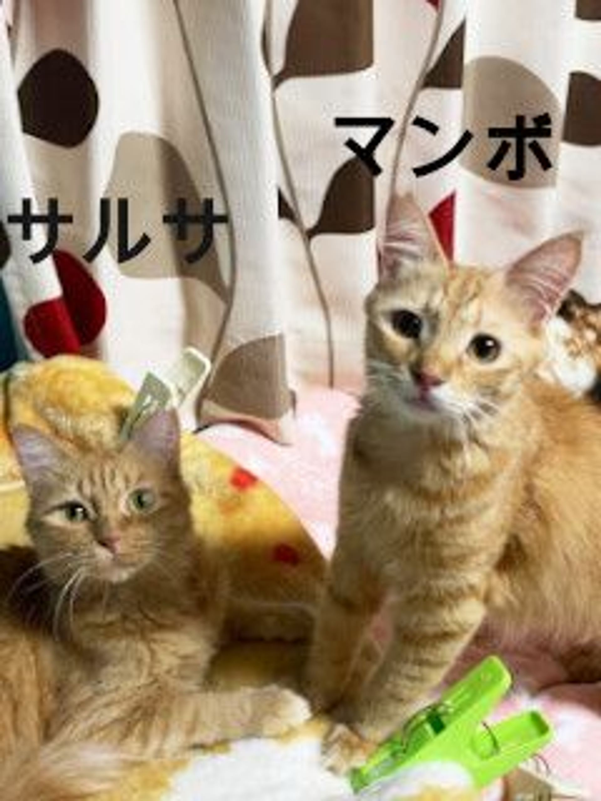 thumbnail-9