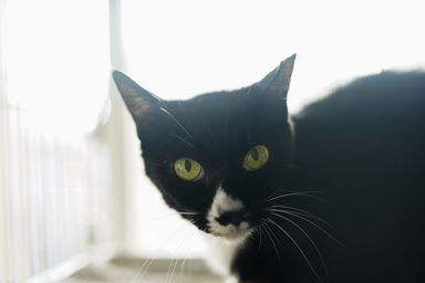名無しちゃんの写真