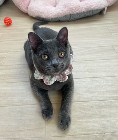 ララちゃん