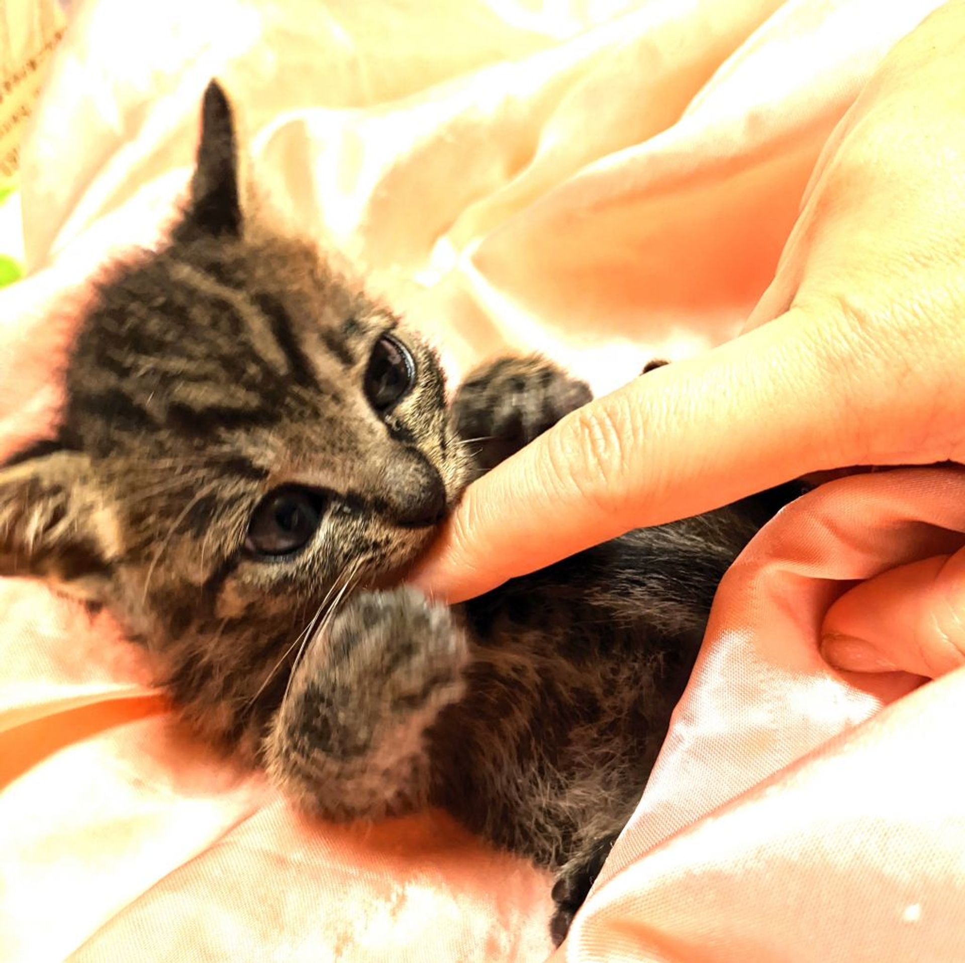thumbnail-3