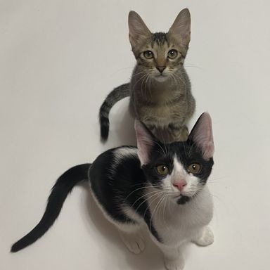 五ェ門＆不二子の写真
