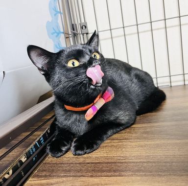 はるの写真