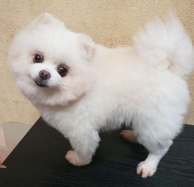 ラブリン