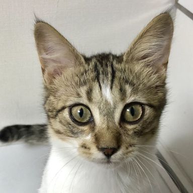名無しちゃんの写真
