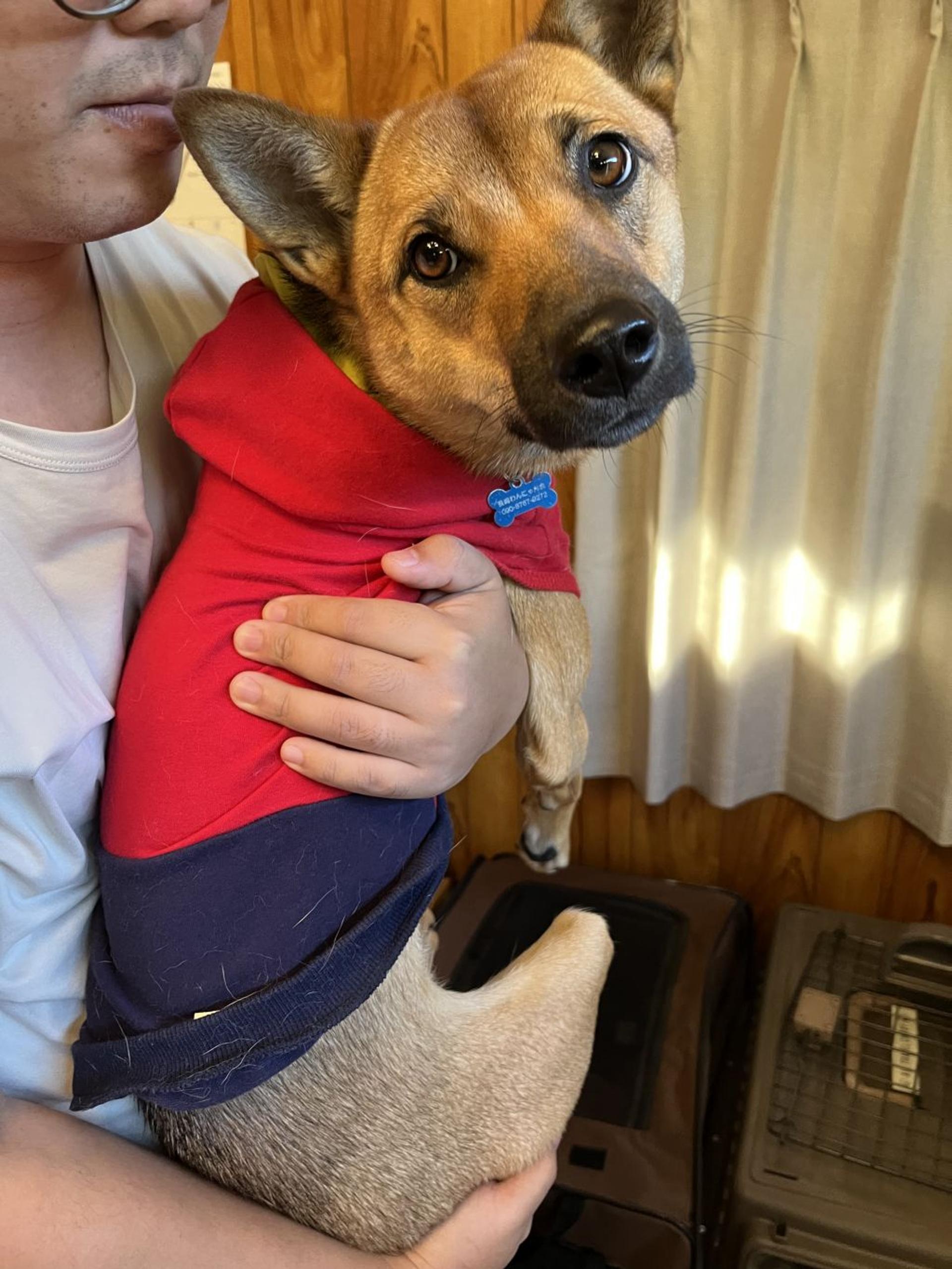 pet-image-7
