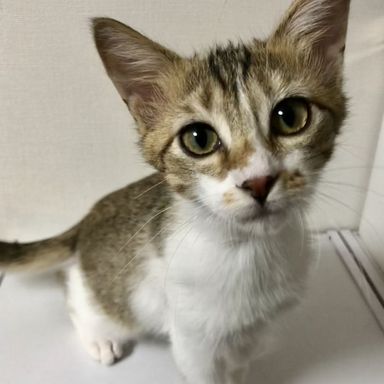 名無しちゃんの写真