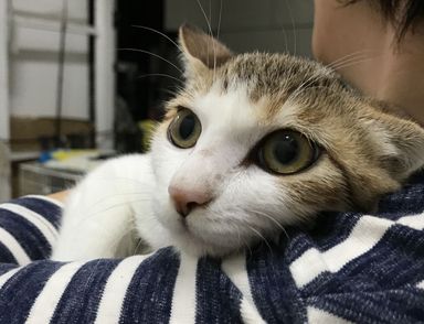名無しちゃん