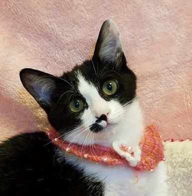 名無しちゃんの写真