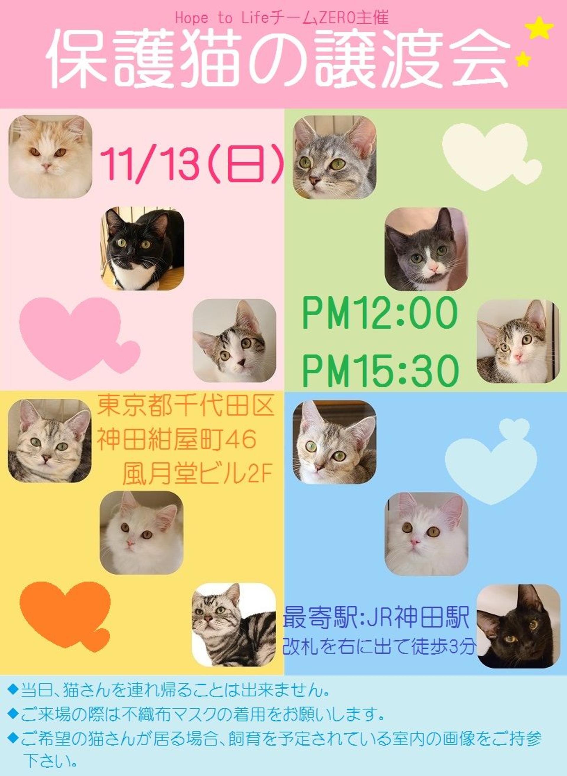 pet-image-5