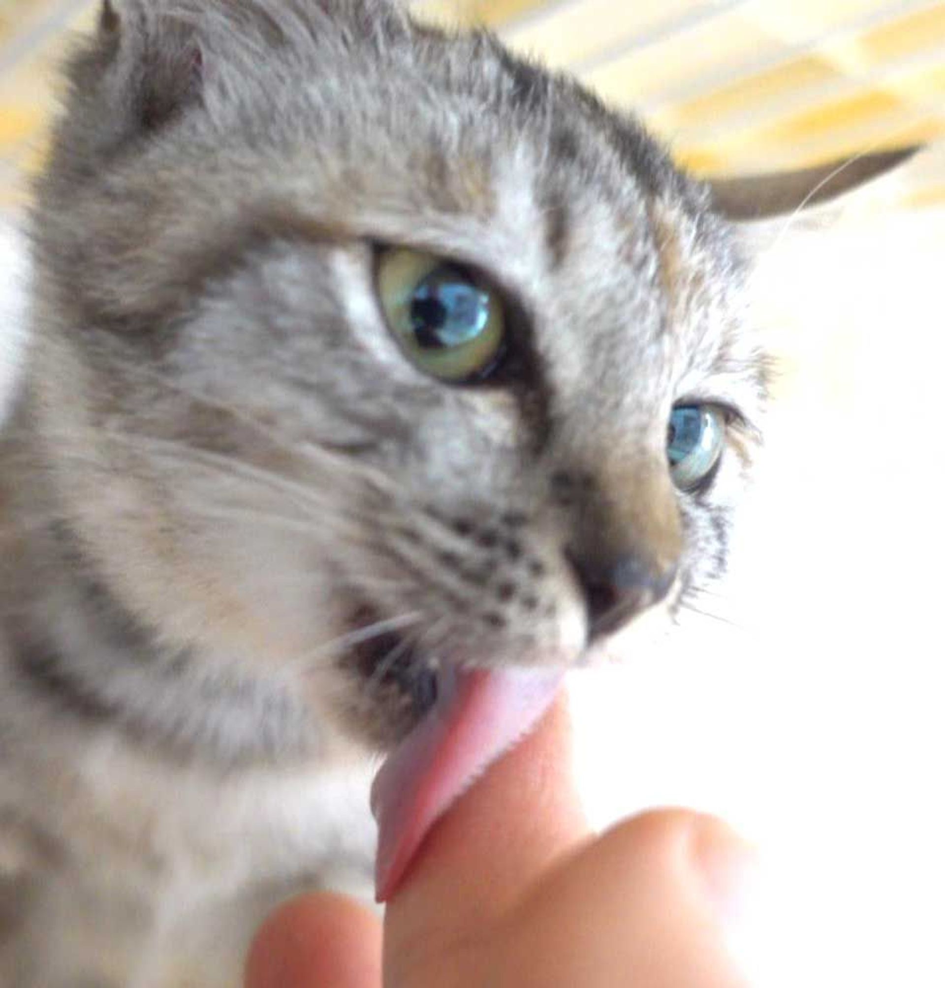 thumbnail-4