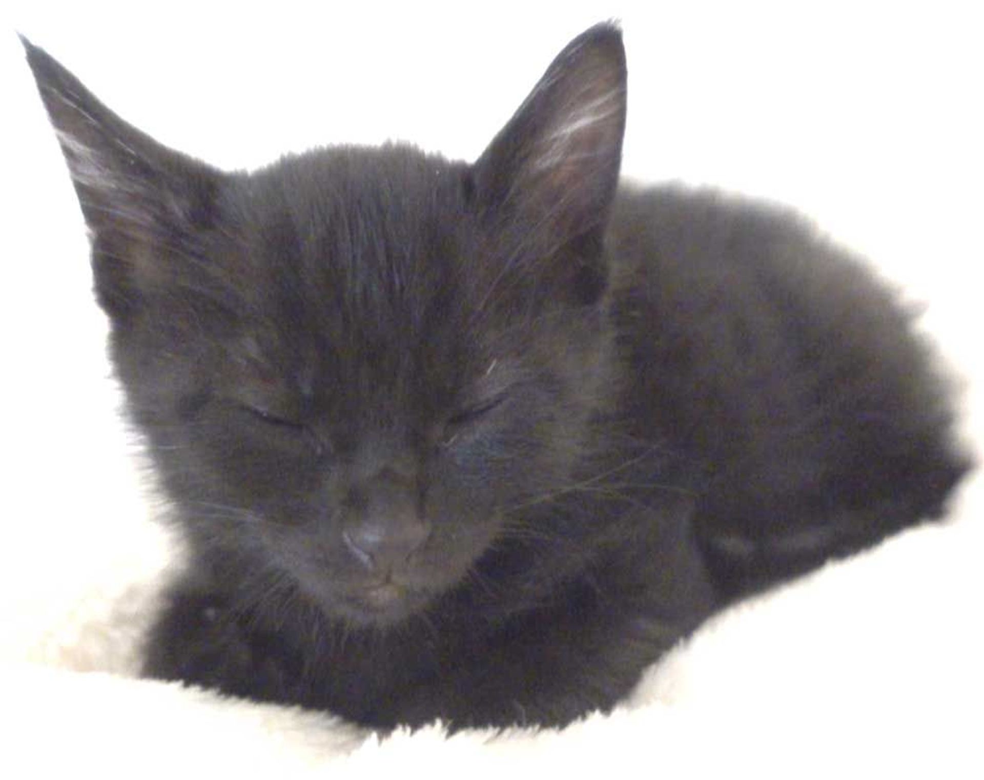 thumbnail-8