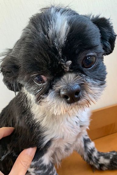 名無しちゃん