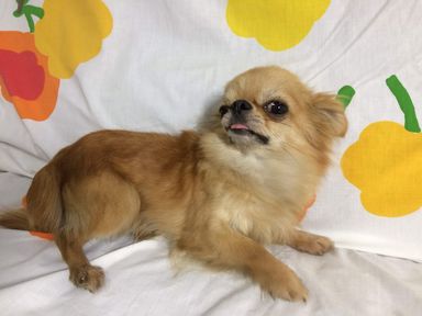 名無しちゃん