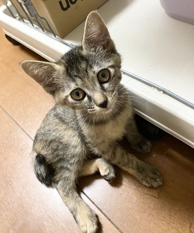 ゆかりの写真