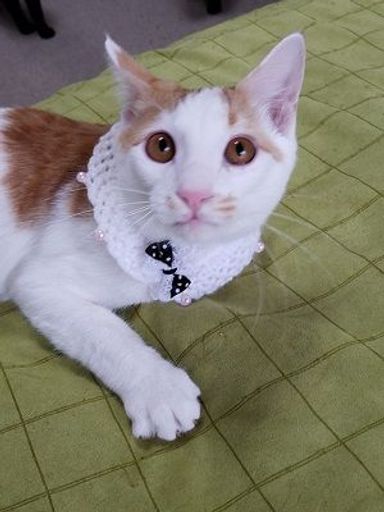 名無しちゃんの写真