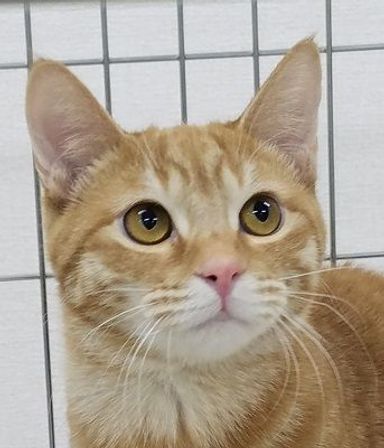 名無しちゃんの写真