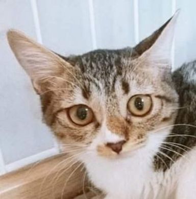 名無しちゃんの写真
