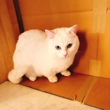 名無し