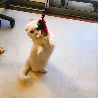 名無し