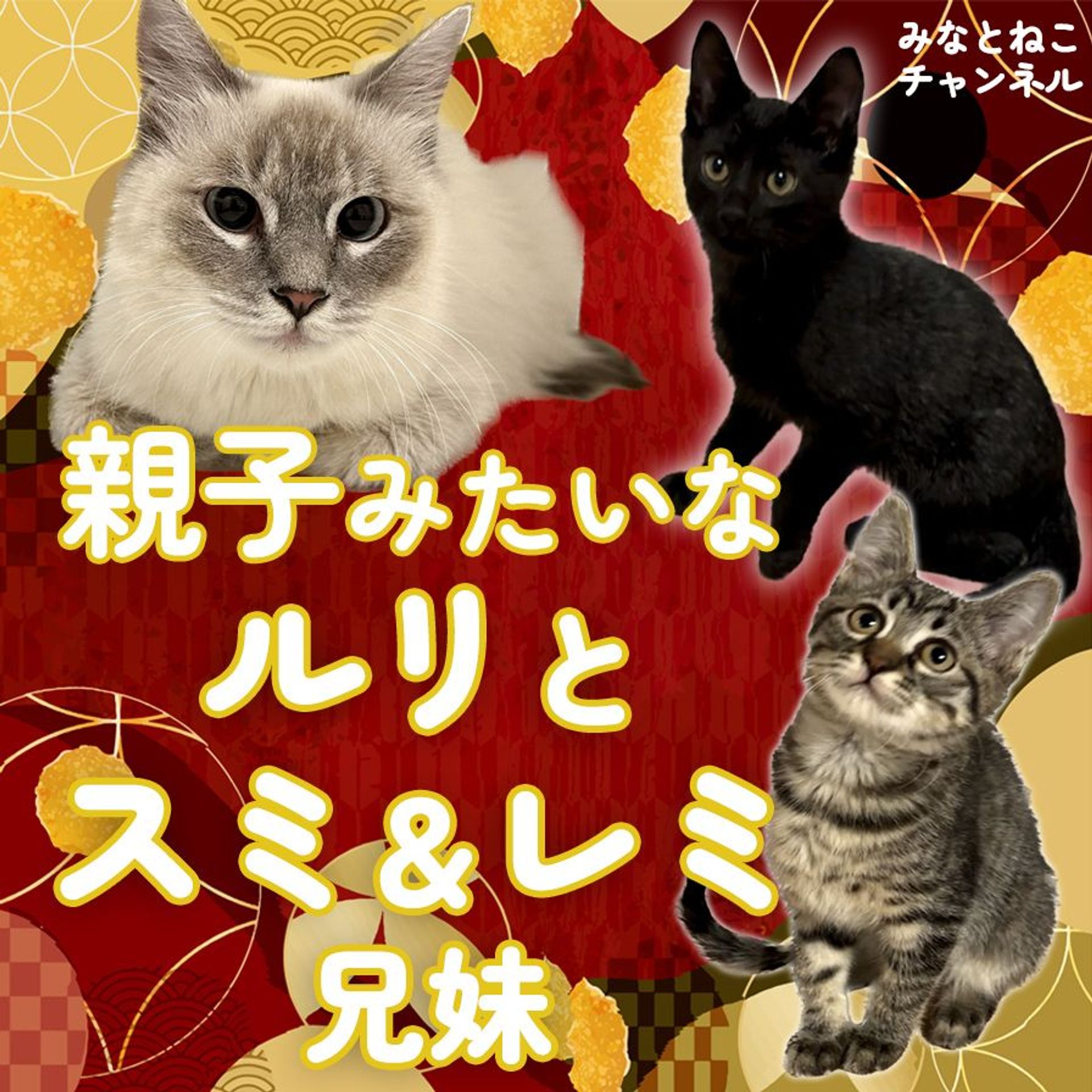 thumbnail-6