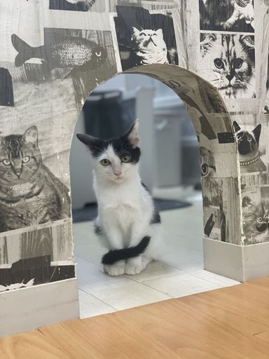 山田の写真