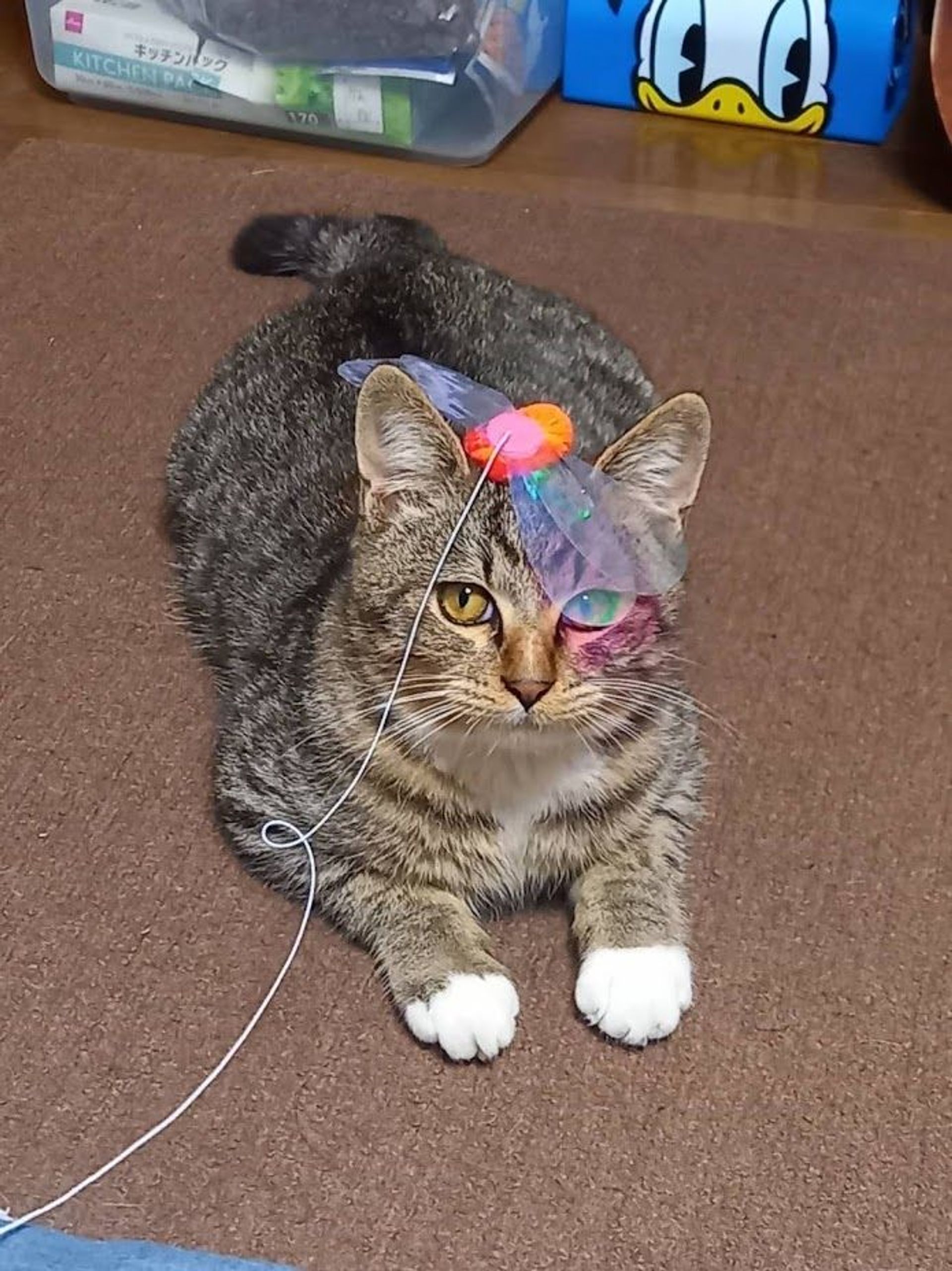 thumbnail-4