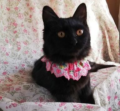 名無しちゃんの写真