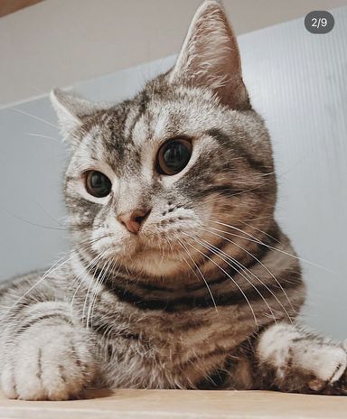まさとの写真