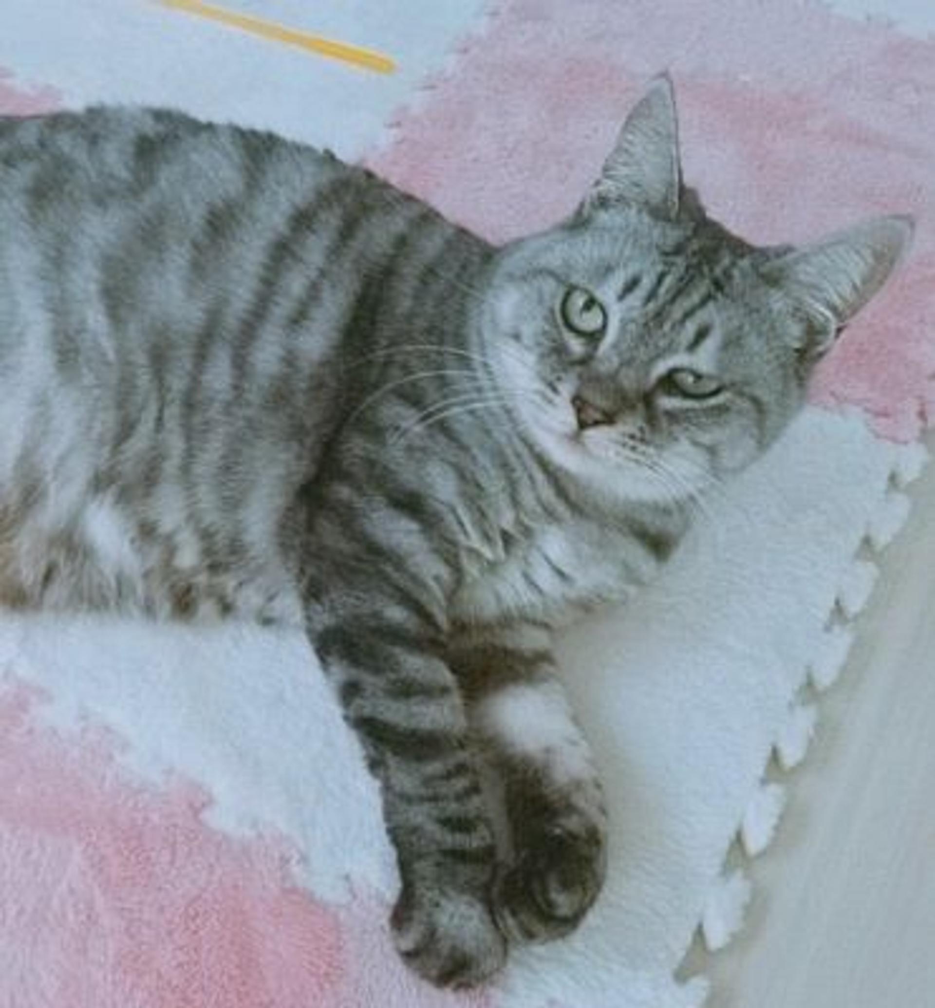 pet-image-2