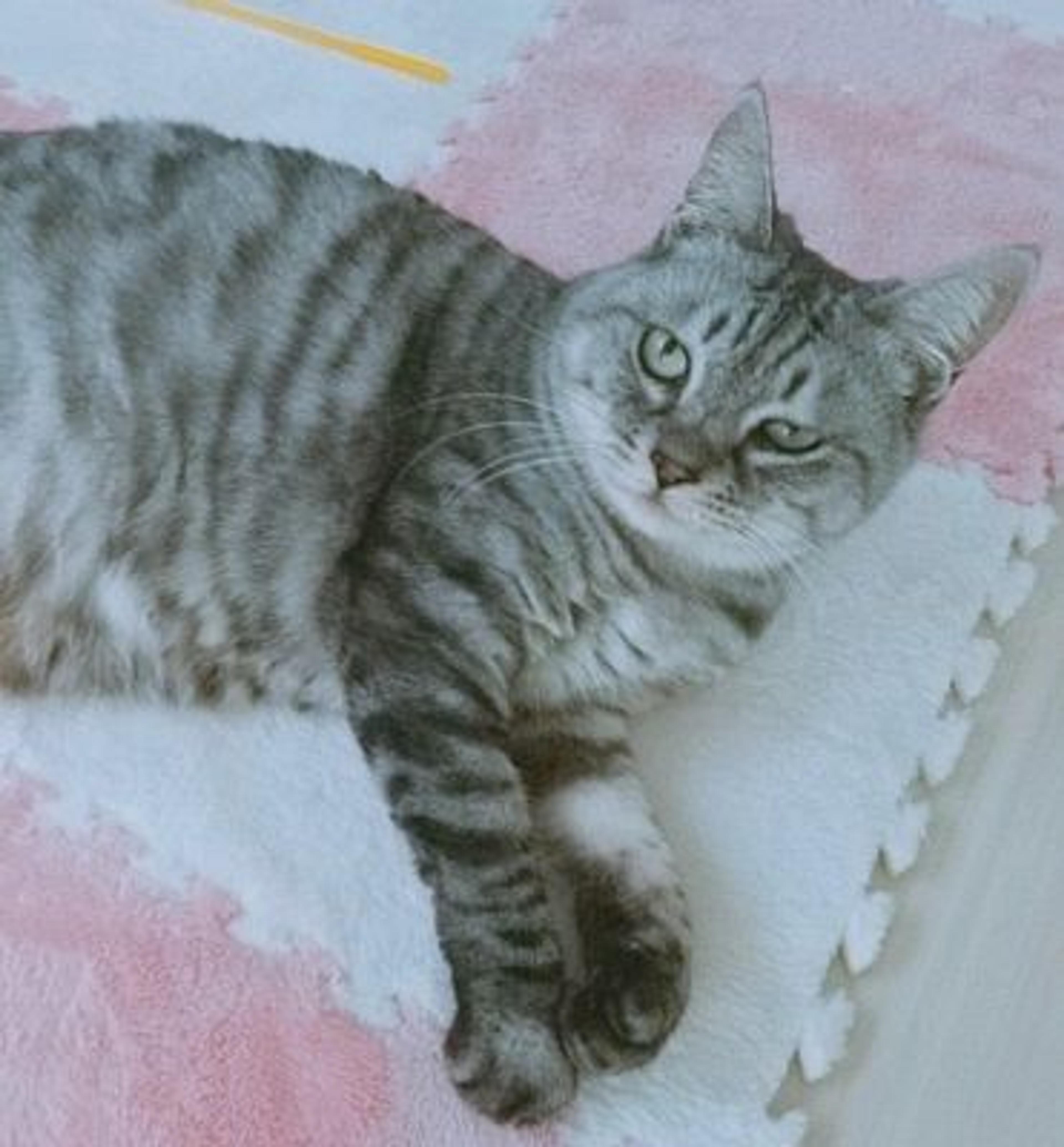 pet-image-2