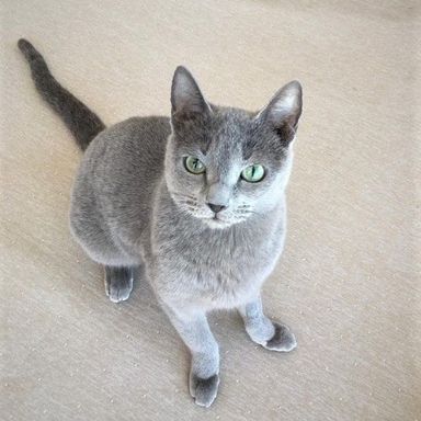 ルナの写真
