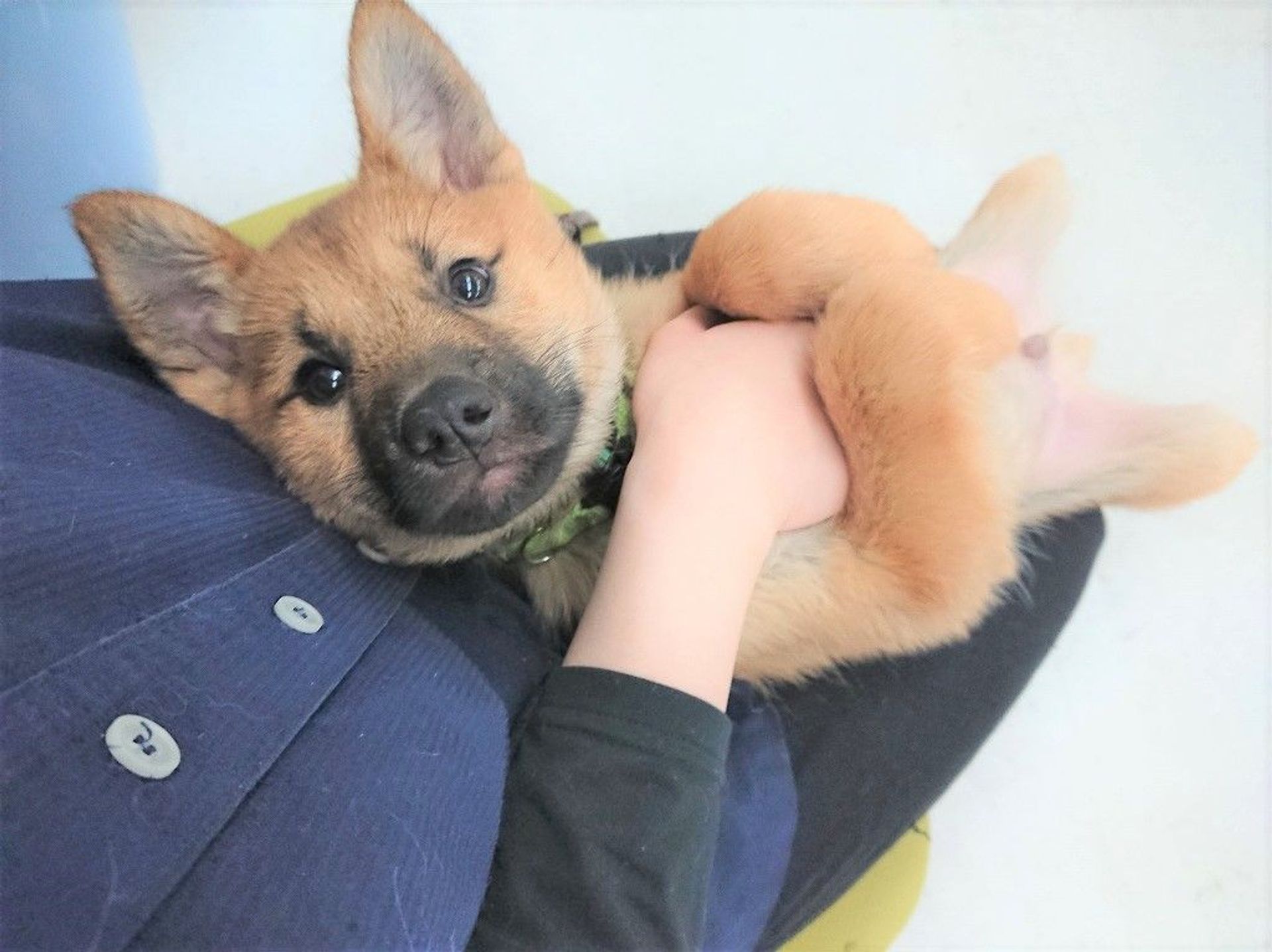 thumbnail-2