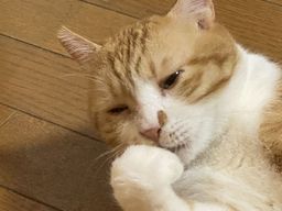 thumb-1