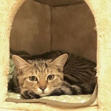 名無しちゃんの写真