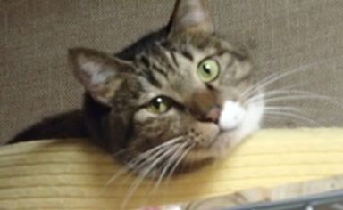 名無しちゃんの写真