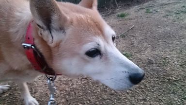 なぎ