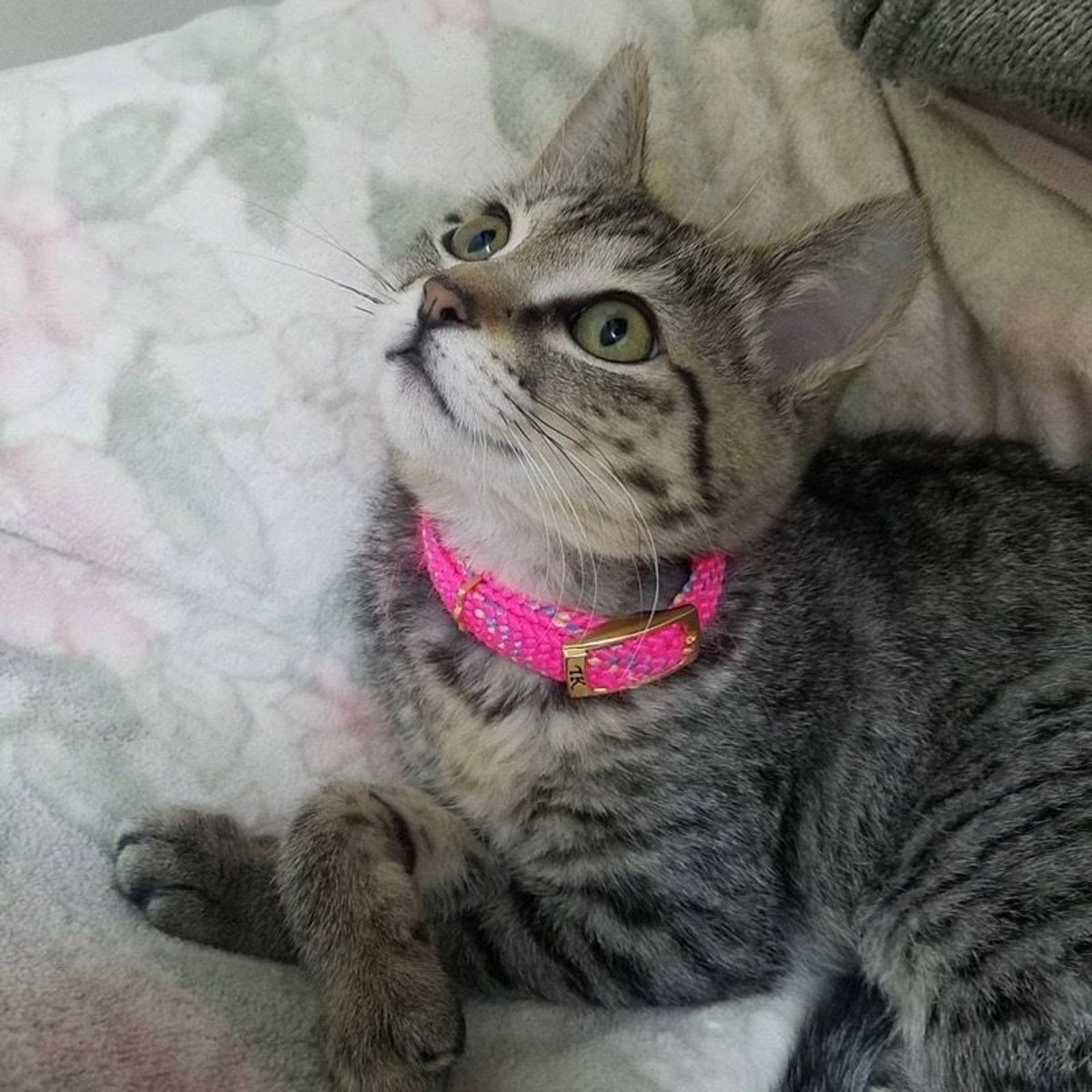 thumbnail-5