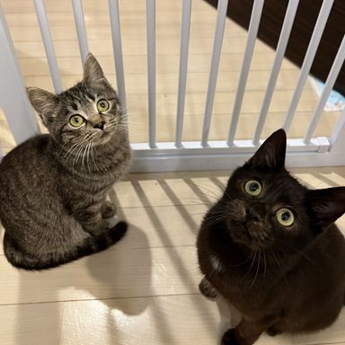 もずく&しじみの写真