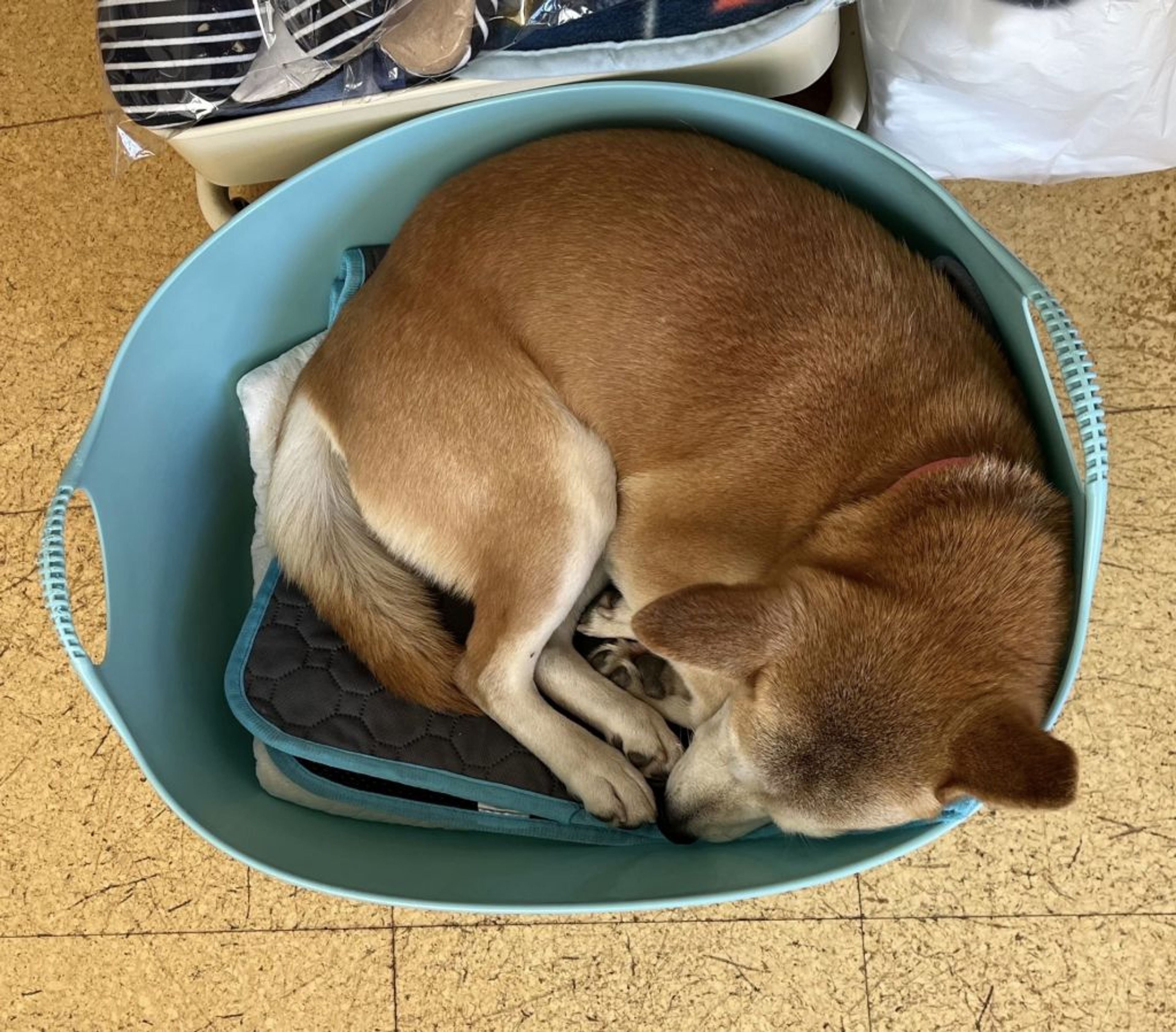 image-3