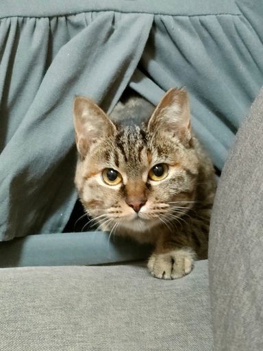 メルの写真