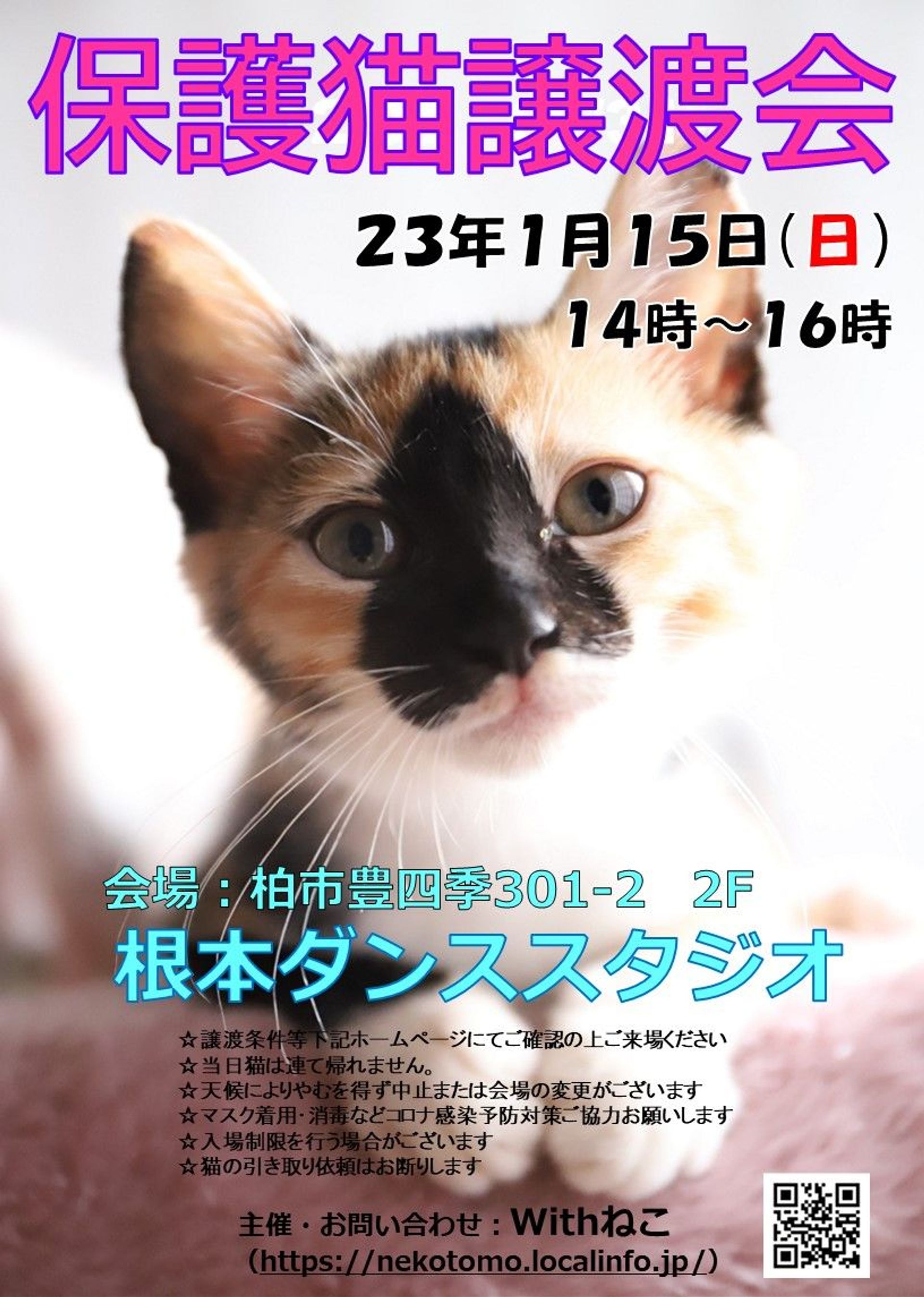 thumbnail-7