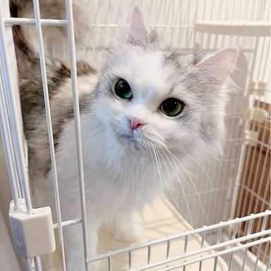 トリュフの写真