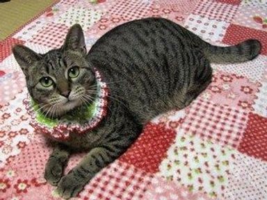 名無しちゃんの写真
