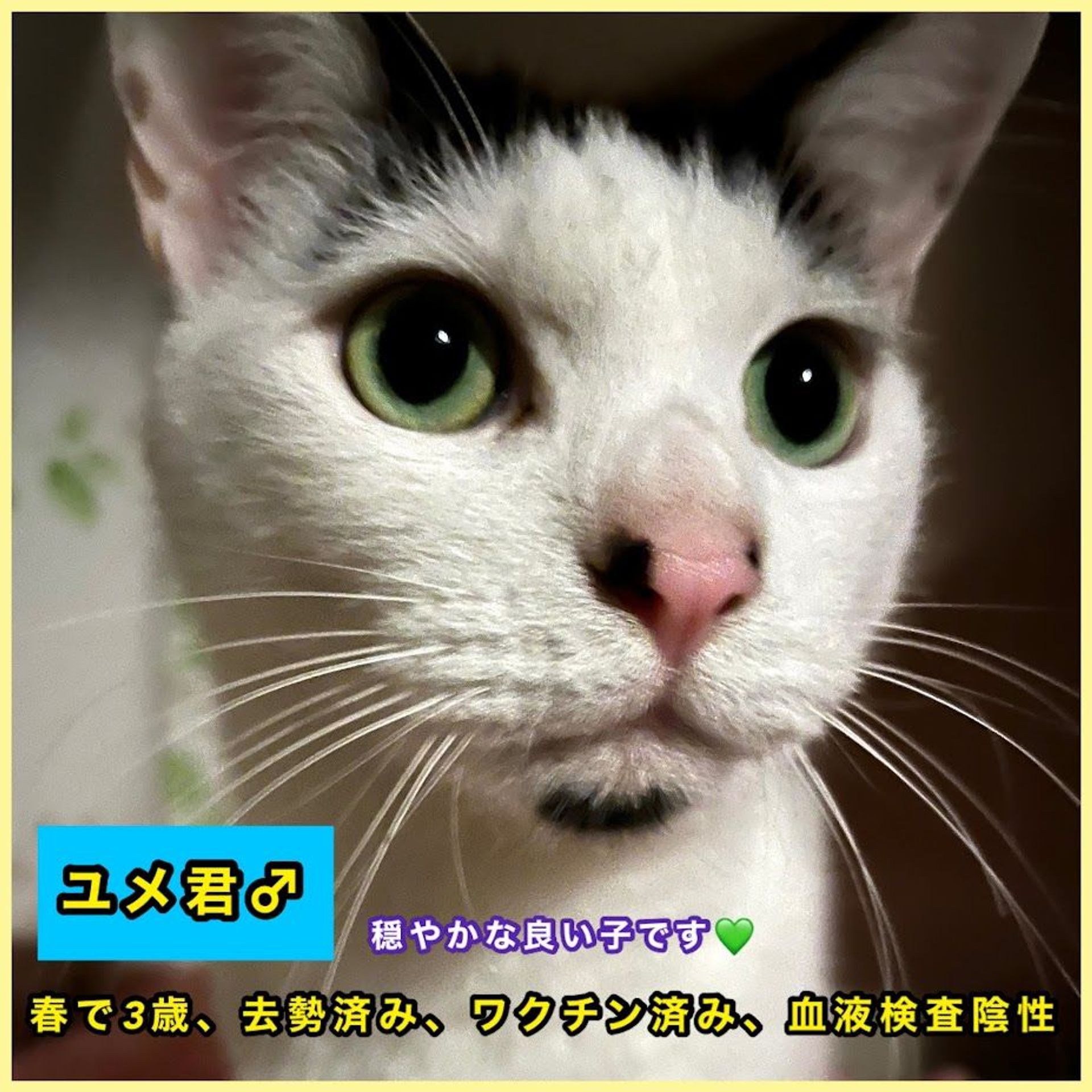 thumbnail-2