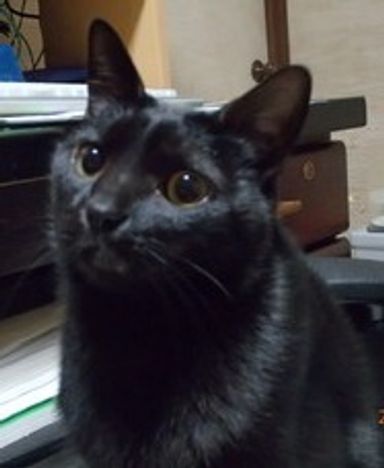 名無しちゃんの写真