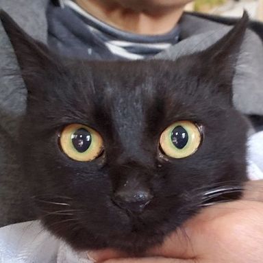 名無しちゃんの写真